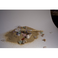 Zoek en ontdek - edelstenen & fossielen